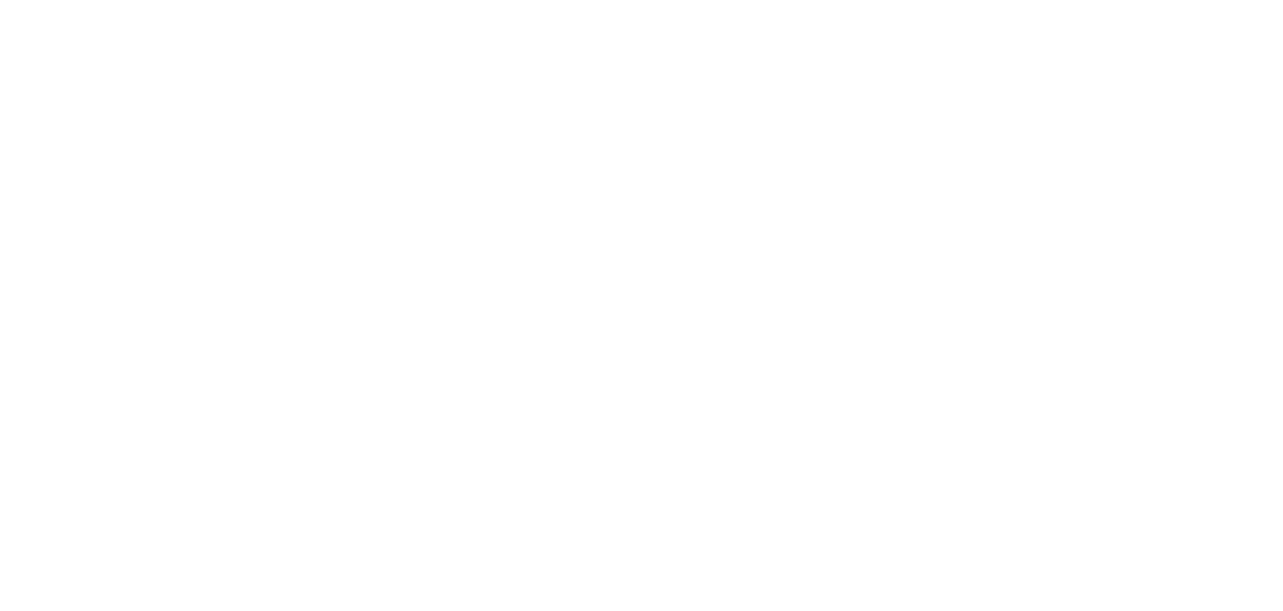 CEL Leadership